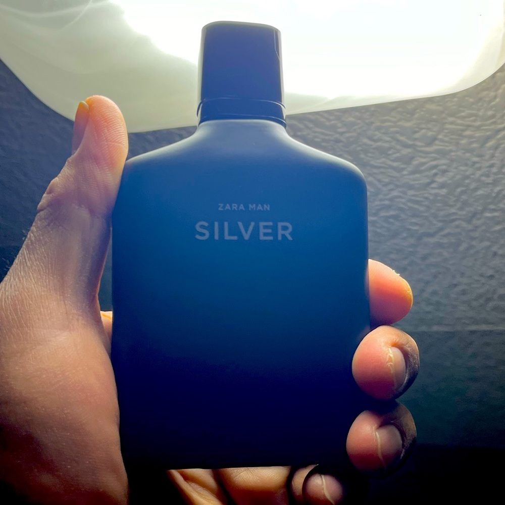 ZARA Man Silver